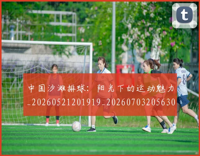 中国沙滩排球:阳光下的运动魅力_20260521201919_20260703205630